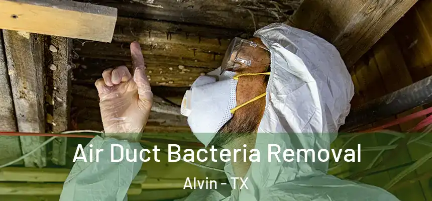  Air Duct Bacteria Removal Alvin - TX