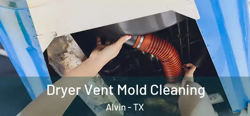 Dryer Vent Mold Cleaning Alvin - TX
