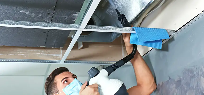 Our Air Duct Rodent Removal Services in Alvin, TX