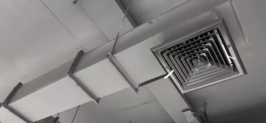 Our Rodent Droppings In Vents Services in Alvin, TX