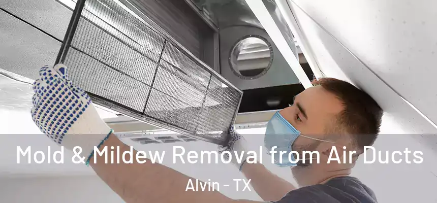  Mold & Mildew Removal from Air Ducts Alvin - TX