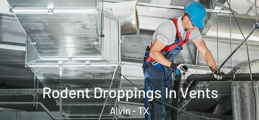 Rodent Droppings In Vents Alvin - TX