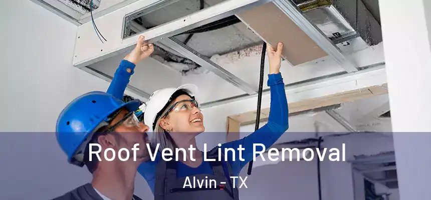 Roof Vent Lint Removal Alvin - TX
