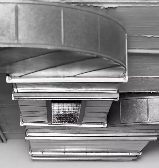 Professional Air Duct Pest Removal in Alvin, TX