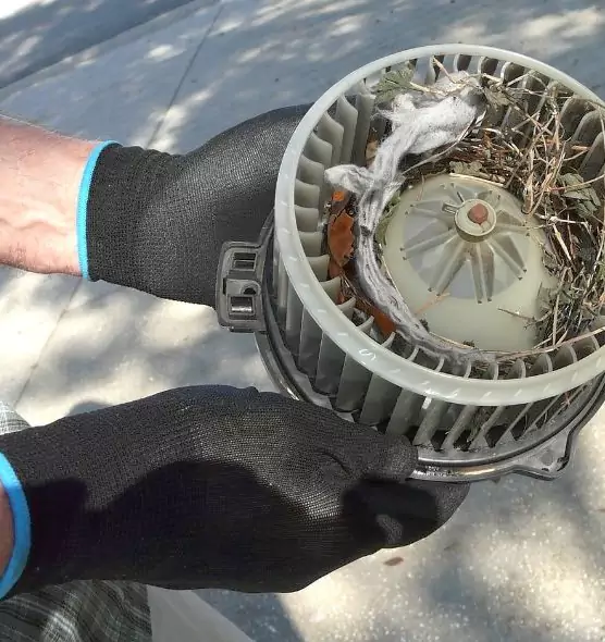 About Air Duct Rat Removal in Alvin, TX