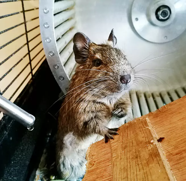 Why Homeowners & Businesses Trust Us Alvin, TX