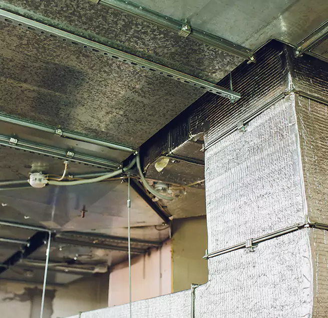 Why Homeowners & Businesses Trust Us in Alvin, TX?