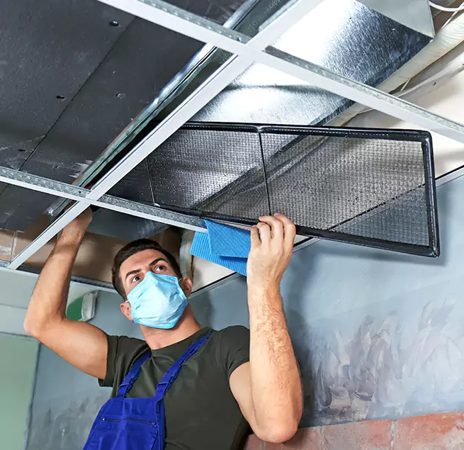 Why Homeowners Businesses Trust Us in Alvin, TX?